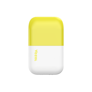 VOZOL D6 Dual Vape “Banana Ice / Mango Apple Pear” 20mg/ml